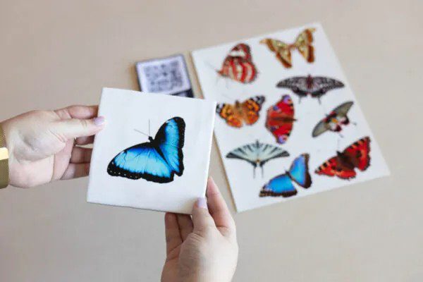 DIY pakket BASIS (gepersonaliseerd)