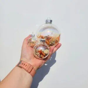 thumbnail_20210906_124653-1