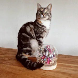 Glas-dome-met-droogbloemen-en-3D-huisdier