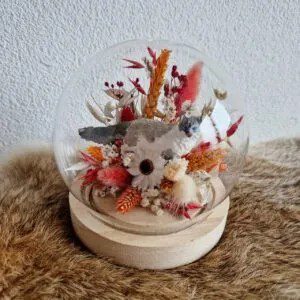 Glasdome-kleuren-rood-wit-en-oranje