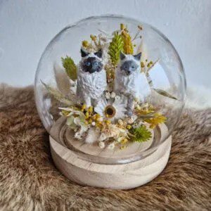 Glasdome-met-2-poezen