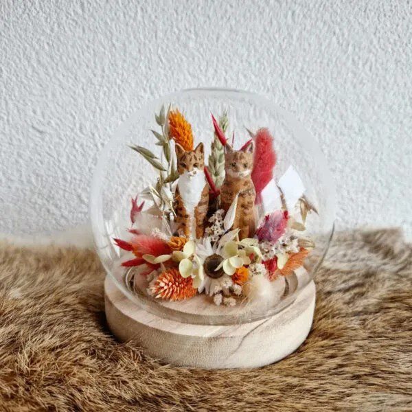 Glas dome met led verlichting en 3D huisdier/knuffel