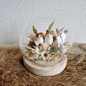 Glasdome-met-droogbloemen-en-2-poezen