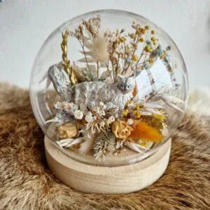 Glasdome-met-droogbloemen-en-kat