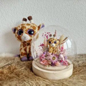 Glasdome-met-droogbloemen-en-knuffel
