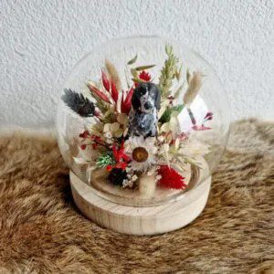 Glasdome-met-hond-zwart-groen-en-rood