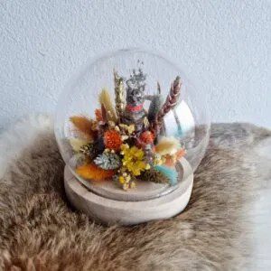 Glasdome-met-kat-en-halsband