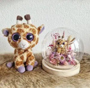 Glasdome-met-knuffel