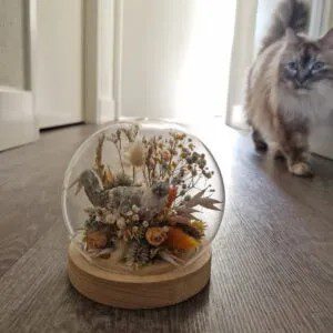 thumbnail_20220922_120045