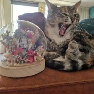 thumbnail_20220925_182249