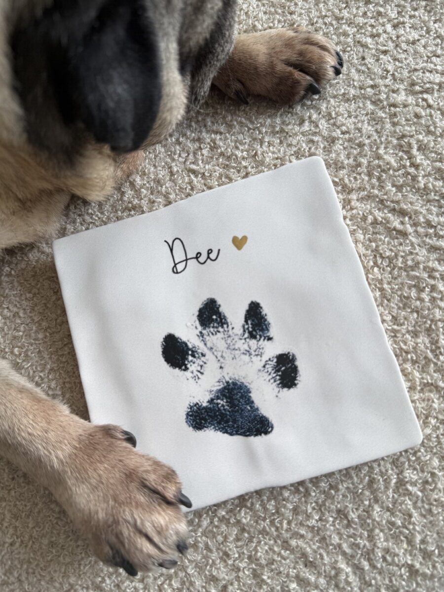 XL Huisdierveilige Niet-Giftige Pootafdruk Inktpad Set - Rommelvrij Voor Grote Poten | Perfect Duurzaam Aandenken Voor Honden En Katten